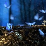 butterfly-2049567_640