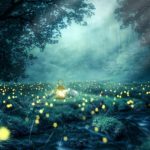 night-3078326_640